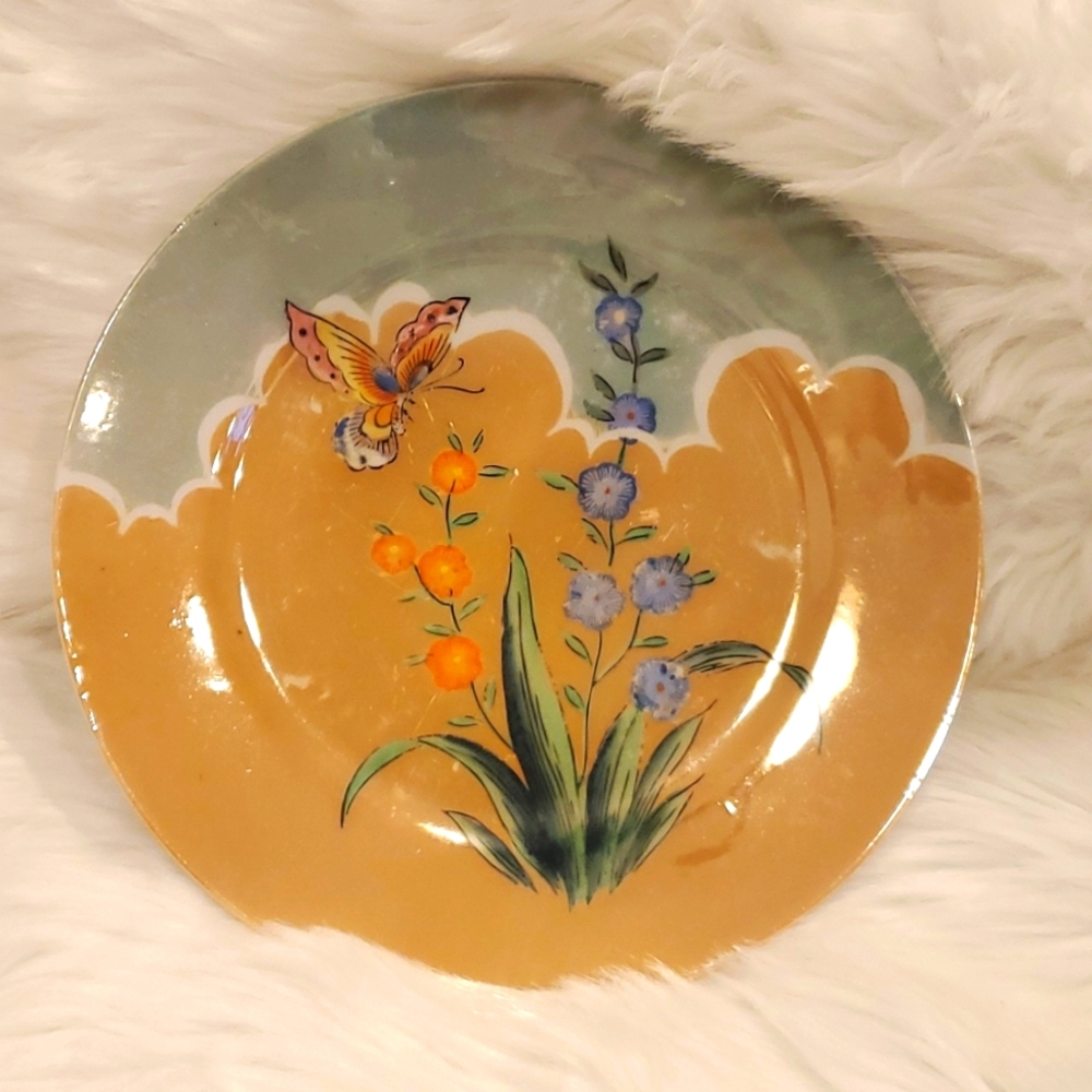 Vintage Japanese Porcelain Flora Butterfly glaze Plate Hand Paint